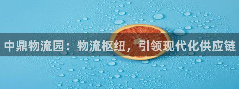 28圈充值方式：中鼎物流园：物流枢纽