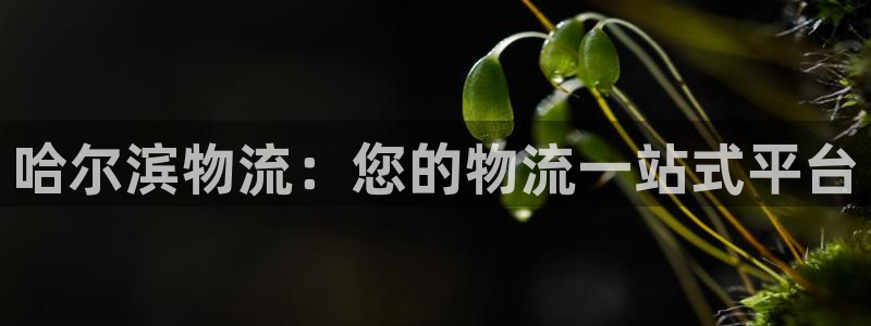 28圈下载二维码怎么弄