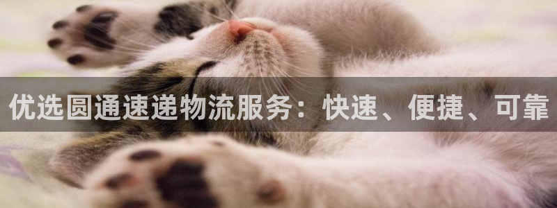 28圈注册网站谁有：优选圆通速递物流
