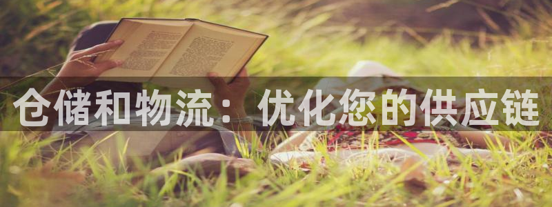 28圈最稳打法：仓储和物流：优化您的