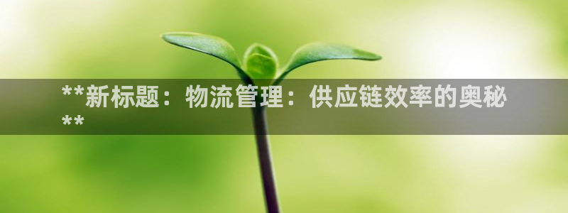 28圈链接：**新标题：物流管理：供