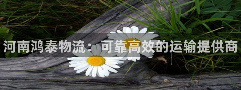 28圈登录网：河南鸿泰物流：可靠高效