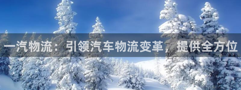 28圈加拿大走势：一汽物流：引领汽车