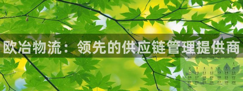 28圈注册网址：欧冶物流：领先的供应