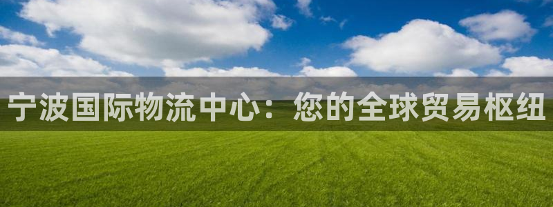 28圈怎么注册账号：宁波国际物流中心