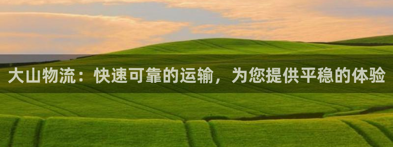 28圈下载体育：大山物流：快速可靠的