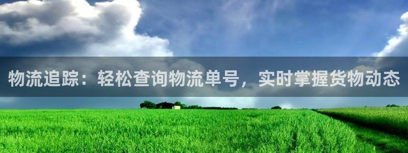 28圈PG电子游戏：物流追踪：轻松查