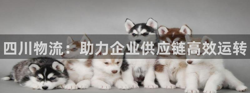 28圈合法吗
