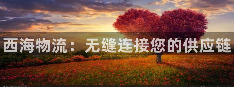 28圈下载二维码怎么弄：西海物流：无