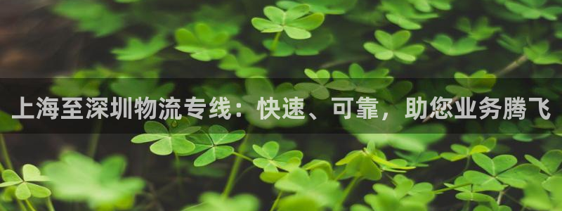 28圈充值不到账什么原因