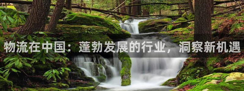 28圈推广链接是多少钱一个：物流在中