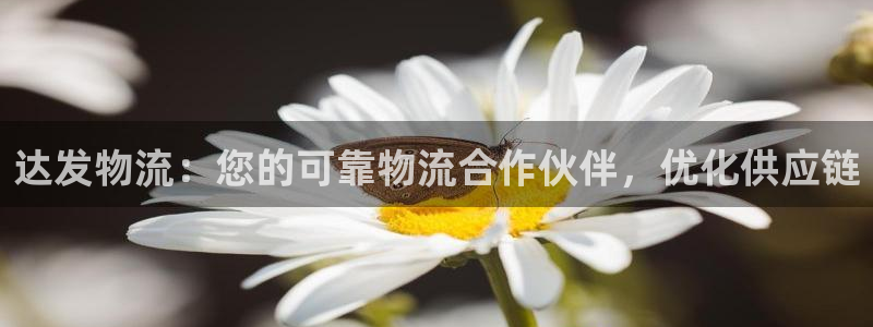 28圈加拿大28