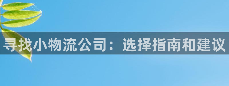 28圈官网平台：寻找小物流公司：选择