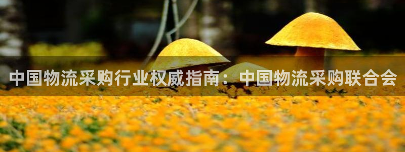 28圈加拿大app预测：中国物流采购