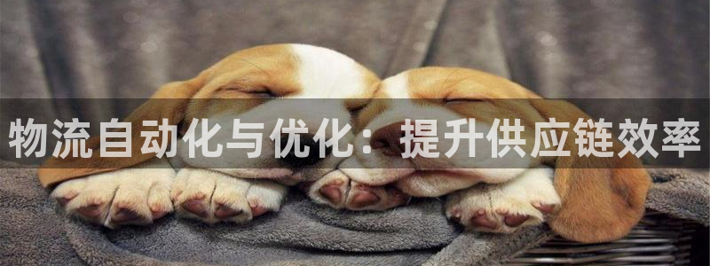 28圈注册送：物流自动化与优化：提升