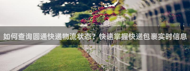 28圈预测加拿大师准