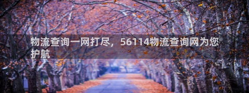 28圈赌博软件正规吗：物流查询一网打