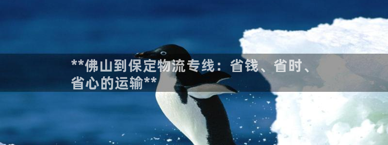 28圈怎么注册下载：**佛山到保定物