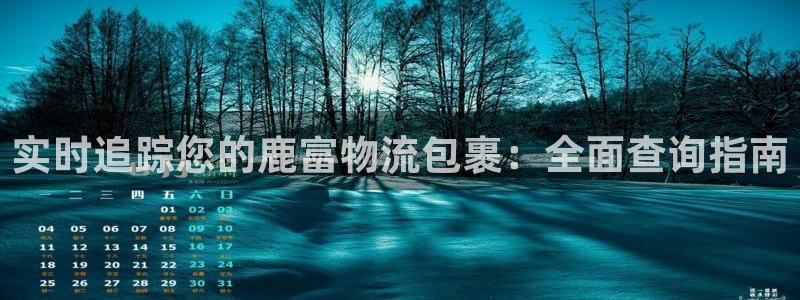 28圈客服电话：实时追踪您的鹿富物流