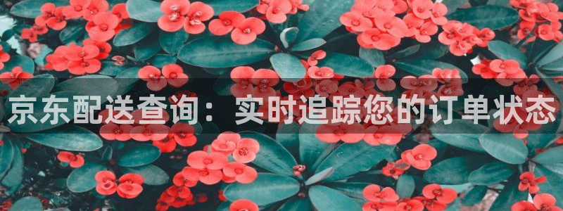 28圈注册过了警察知道吗：京东配送查