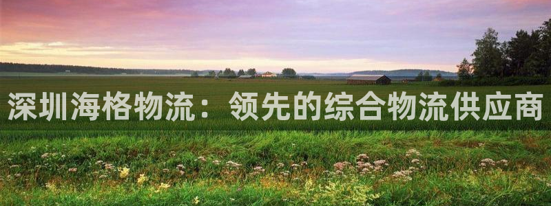 28圈.ccm官网：深圳海格物流：领