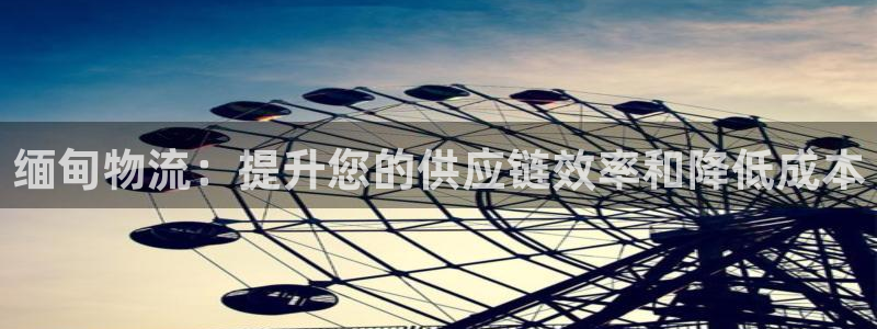 28圈连输10天：缅甸物流：提升您的