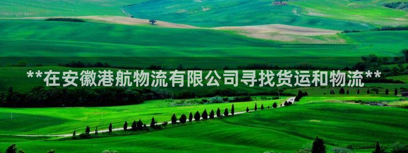 28圈麻将胡了：**在安徽港航物流有