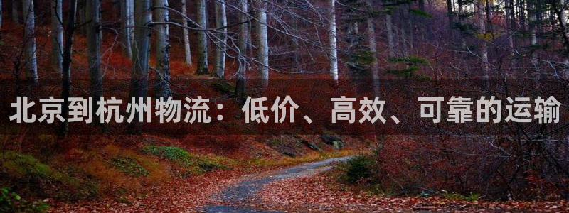 28圈电子游戏