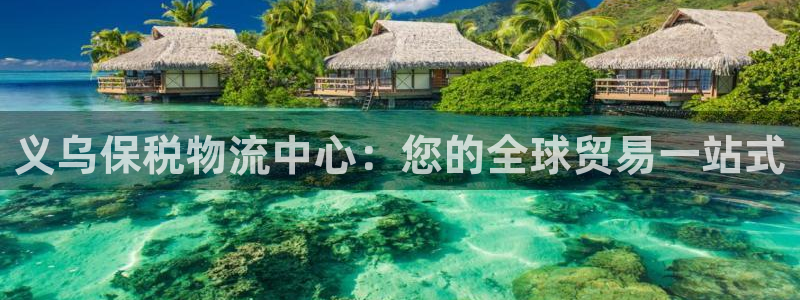 28圈反水：义乌保税物流中心：您的全