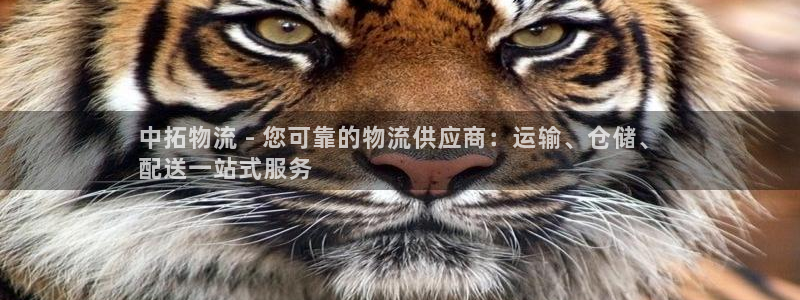 28圈充值不到账怎么办