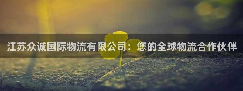 28圈注册号：江苏众诚国际物流有限公