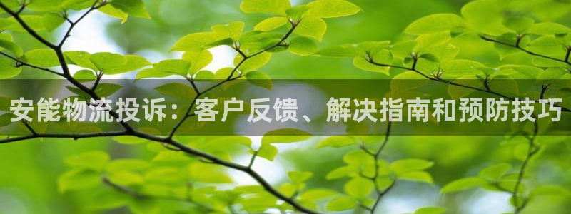 28圈吧