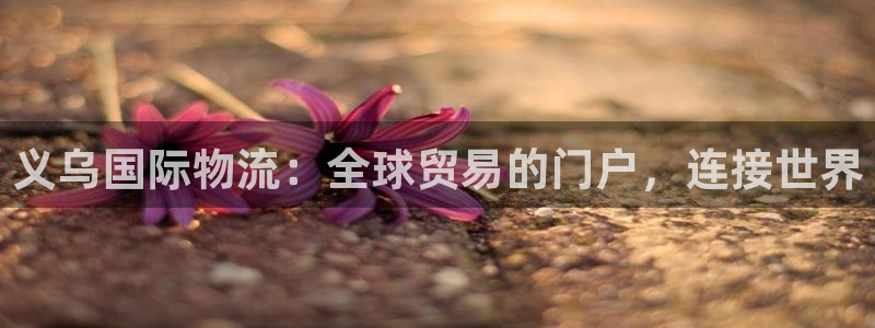 28圈游戏官网入口：义乌国际物流：全