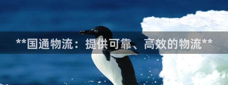28圈能赢钱吗：**国通物流：提供可