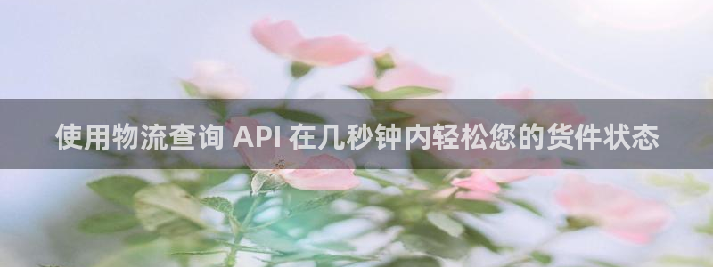 南宫28圈官网：使用物流查询 API