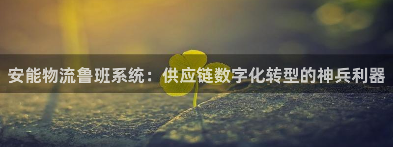 28圈绿骨头：安能物流鲁班系统：供应
