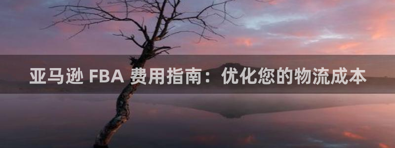 28圈龙虎：亚马逊 FBA 费用指南