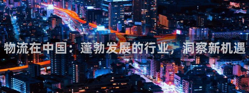 28圈网赌案件