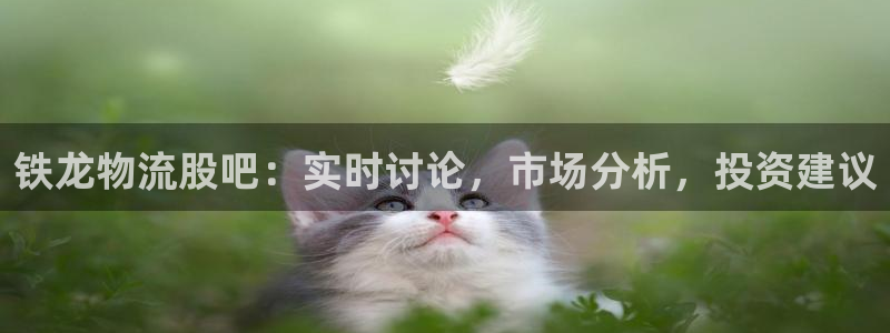 28圈免费