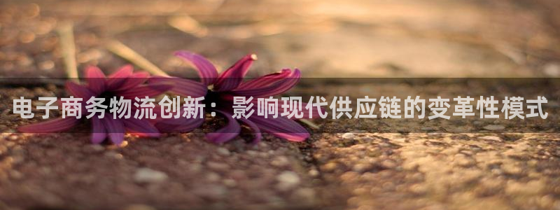 28圈圈：电子商务物流创新：影响现代