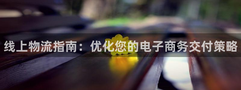 28圈正规吗：线上物流指南：优化您的