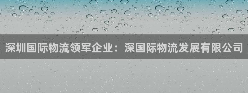 28圈账号注册：深圳国际物流领军企业