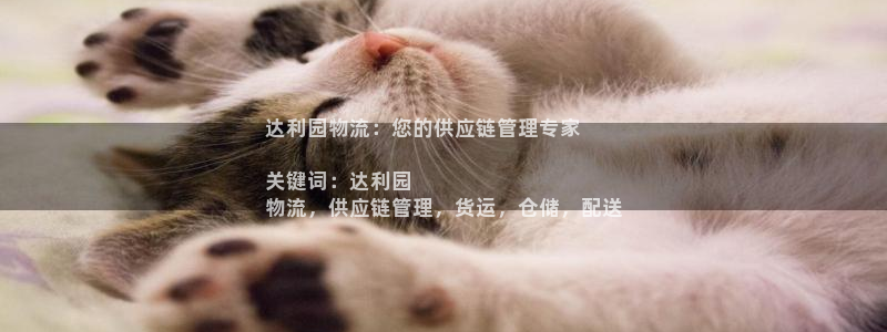 28圈官网链接：达利园物流：您的供应