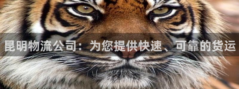 28圈昵称：昆明物流公司：为您提供快