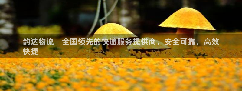 28圈麻将胡了在线试玩：韵达物流 -
