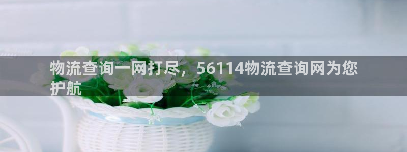 28圈app注册地址：物流查询一网打
