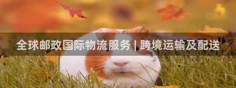 28圈.ccmapp：全球邮政国际物