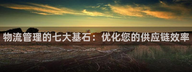 28圈.ccmpc预测：物流管理的七