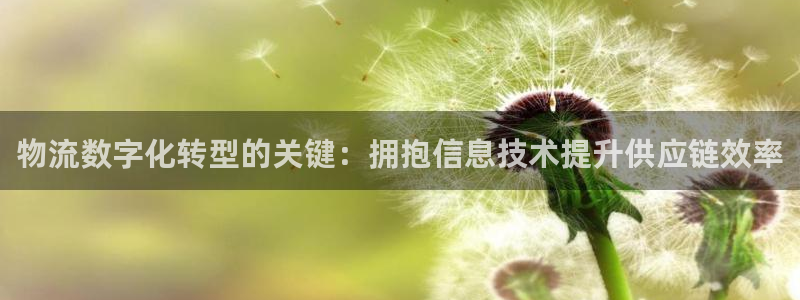 28圈下载体育：物流数字化转型的关键