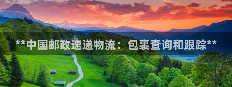 28圈充值不到账